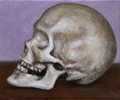 Study Of A Skull, Ben Marxen
